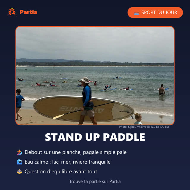Stand up paddle