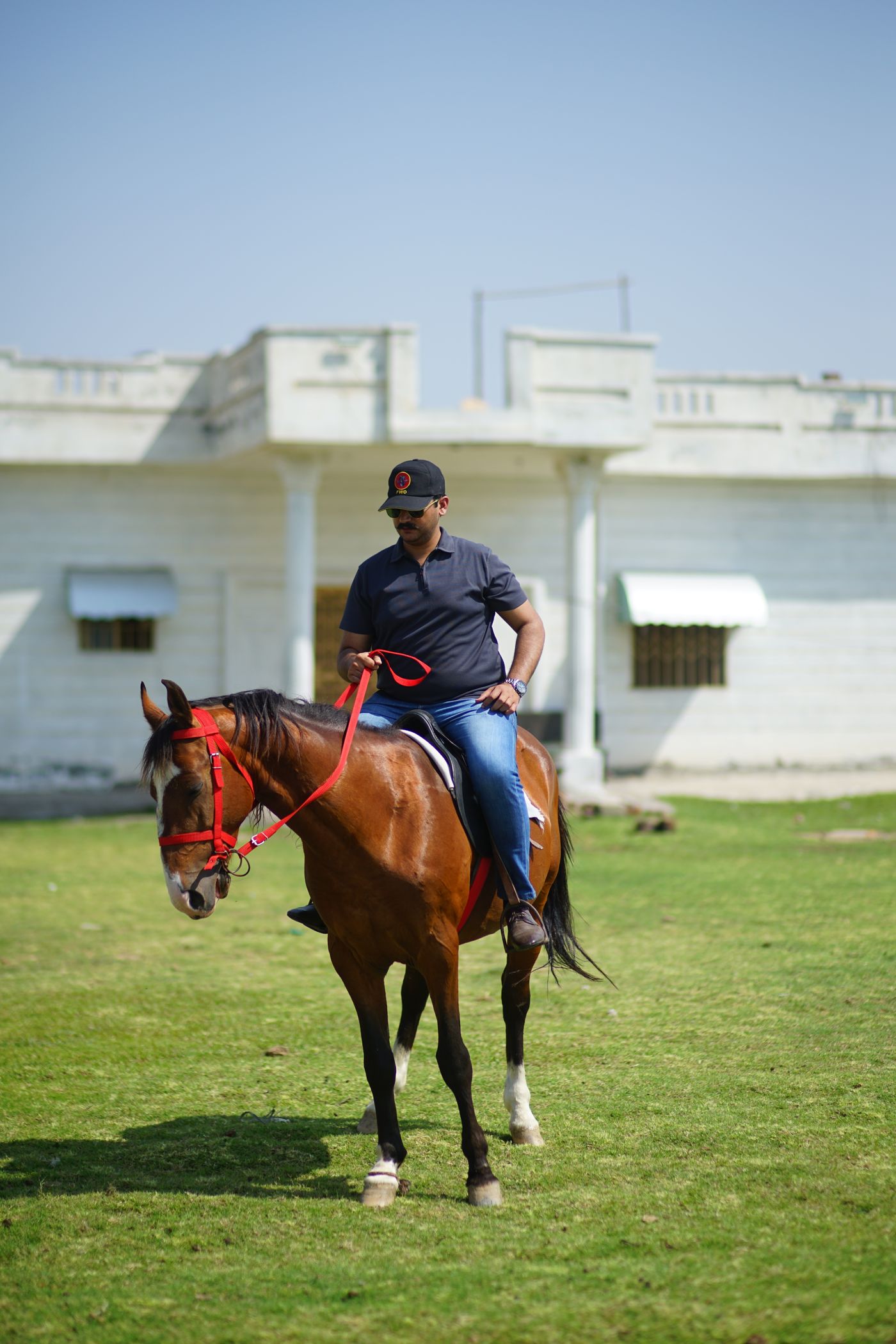 Équitation